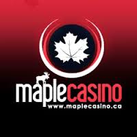 maple casino